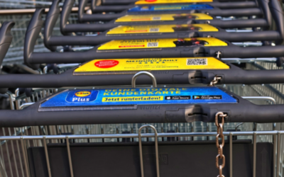 Fighting Low Prices with Biedronka May Be Risky for Lidl?